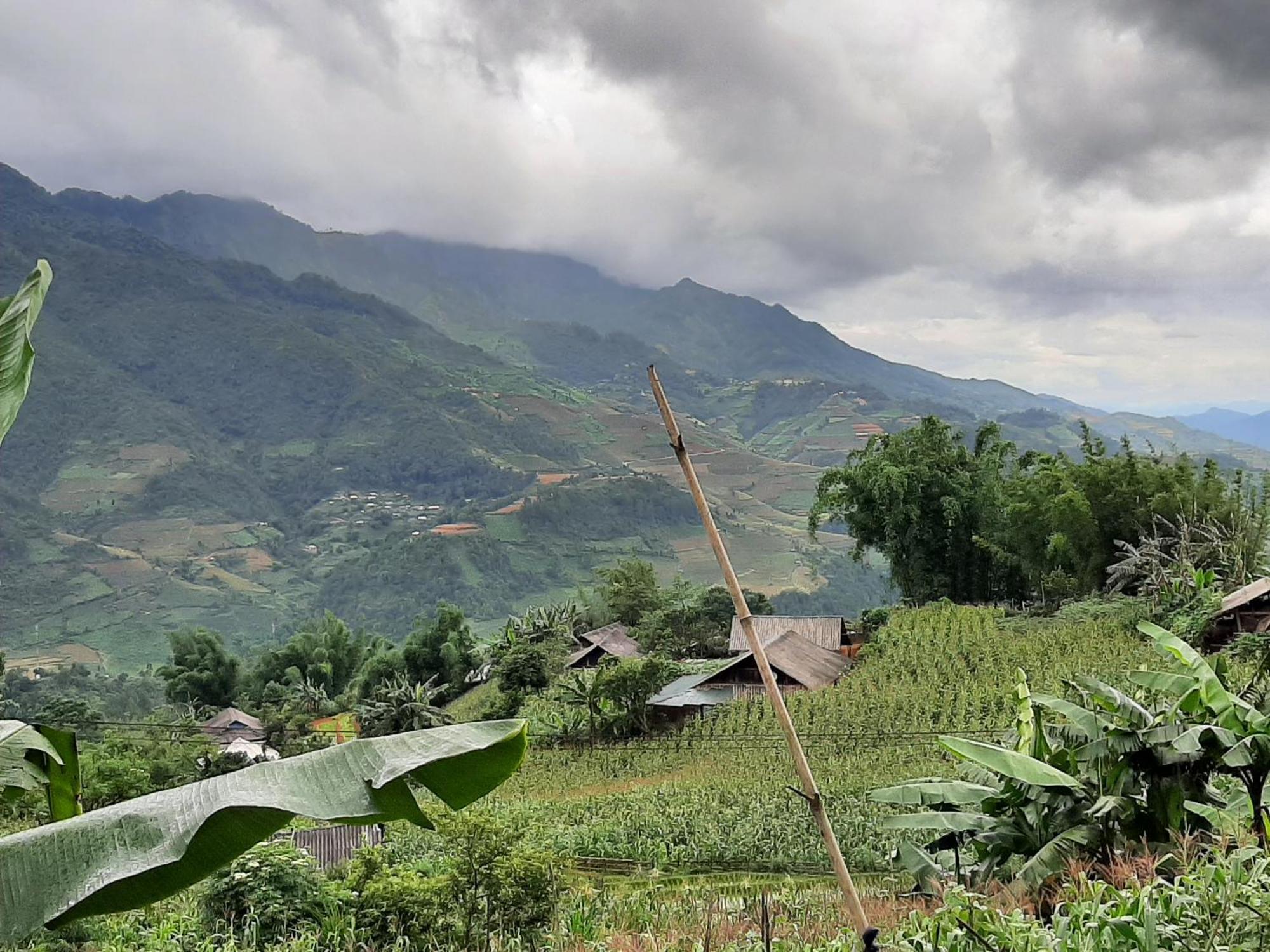 Mu Cang Chai Dong Suoi H'Mong Homestay & Bungalow - Trek & Vegetarian Food מראה חיצוני תמונה