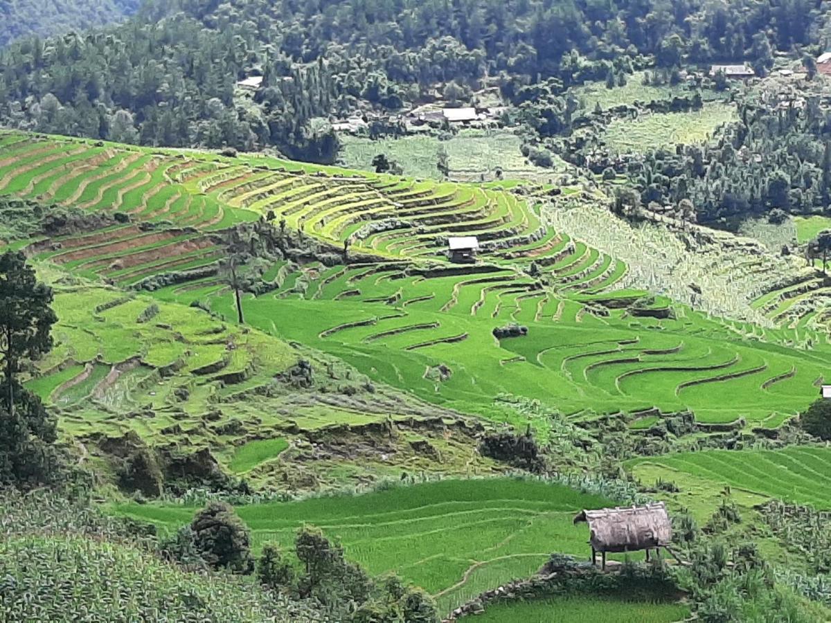 Mu Cang Chai Dong Suoi H'Mong Homestay & Bungalow - Trek & Vegetarian Food מראה חיצוני תמונה