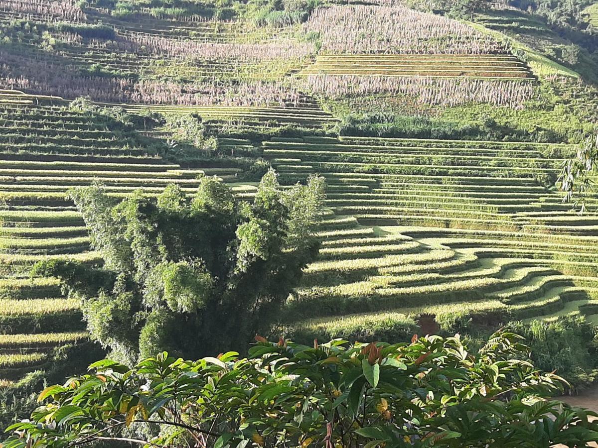 Mu Cang Chai Dong Suoi H'Mong Homestay & Bungalow - Trek & Vegetarian Food מראה חיצוני תמונה