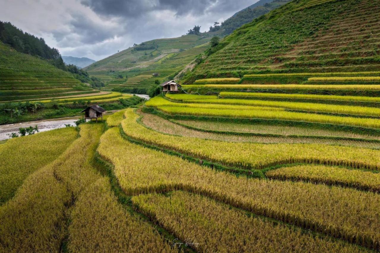 Mu Cang Chai Dong Suoi H'Mong Homestay & Bungalow - Trek & Vegetarian Food מראה חיצוני תמונה