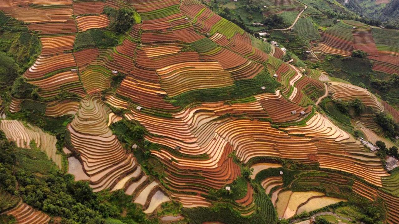 Mu Cang Chai Dong Suoi H'Mong Homestay & Bungalow - Trek & Vegetarian Food מראה חיצוני תמונה
