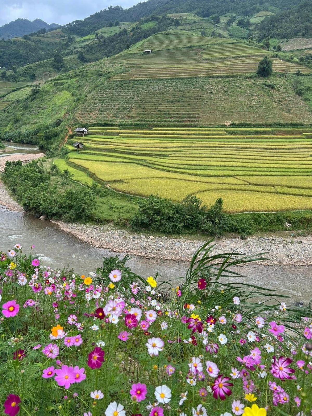 Mu Cang Chai Dong Suoi H'Mong Homestay & Bungalow - Trek & Vegetarian Food מראה חיצוני תמונה