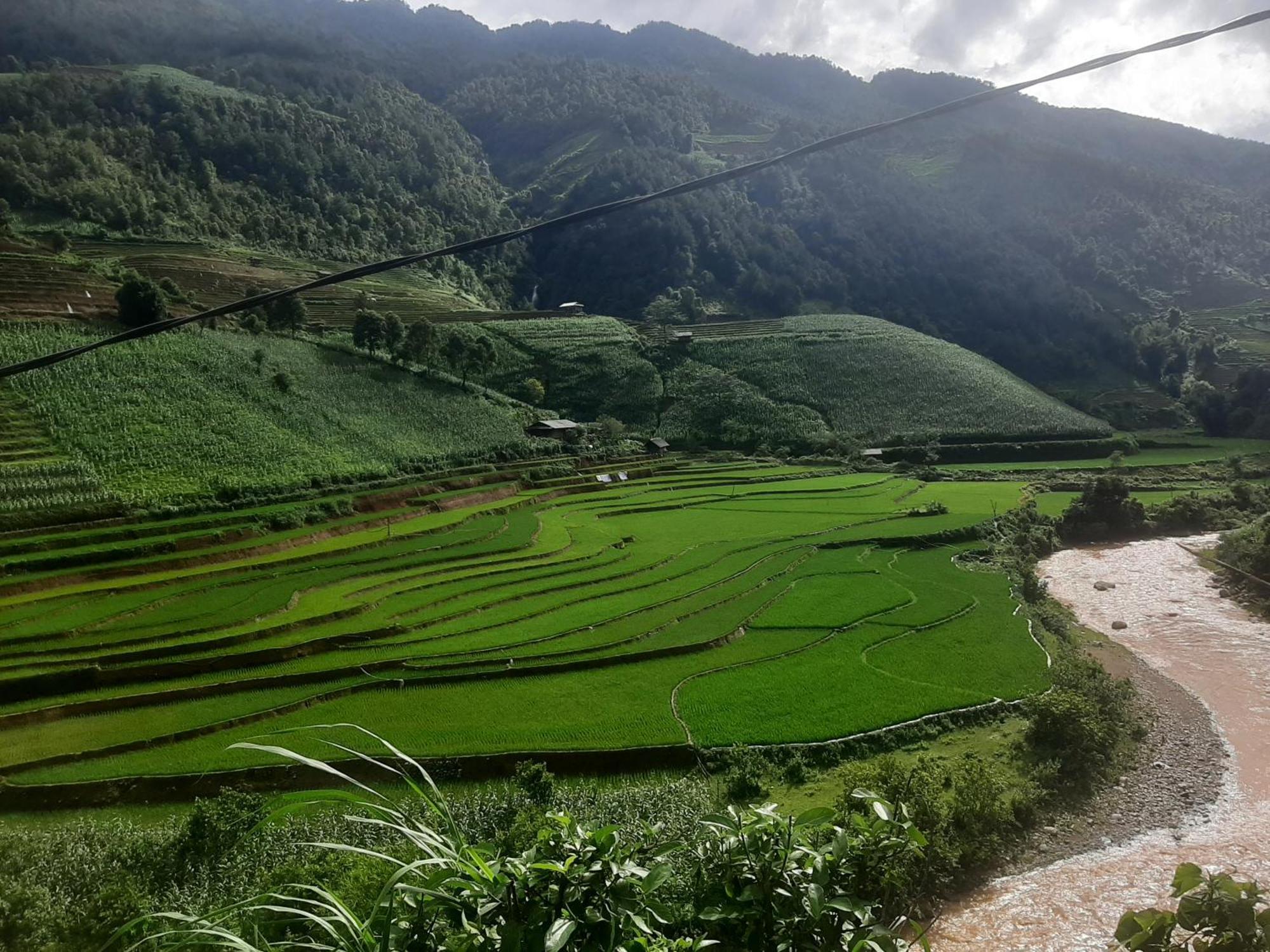 Mu Cang Chai Dong Suoi H'Mong Homestay & Bungalow - Trek & Vegetarian Food מראה חיצוני תמונה