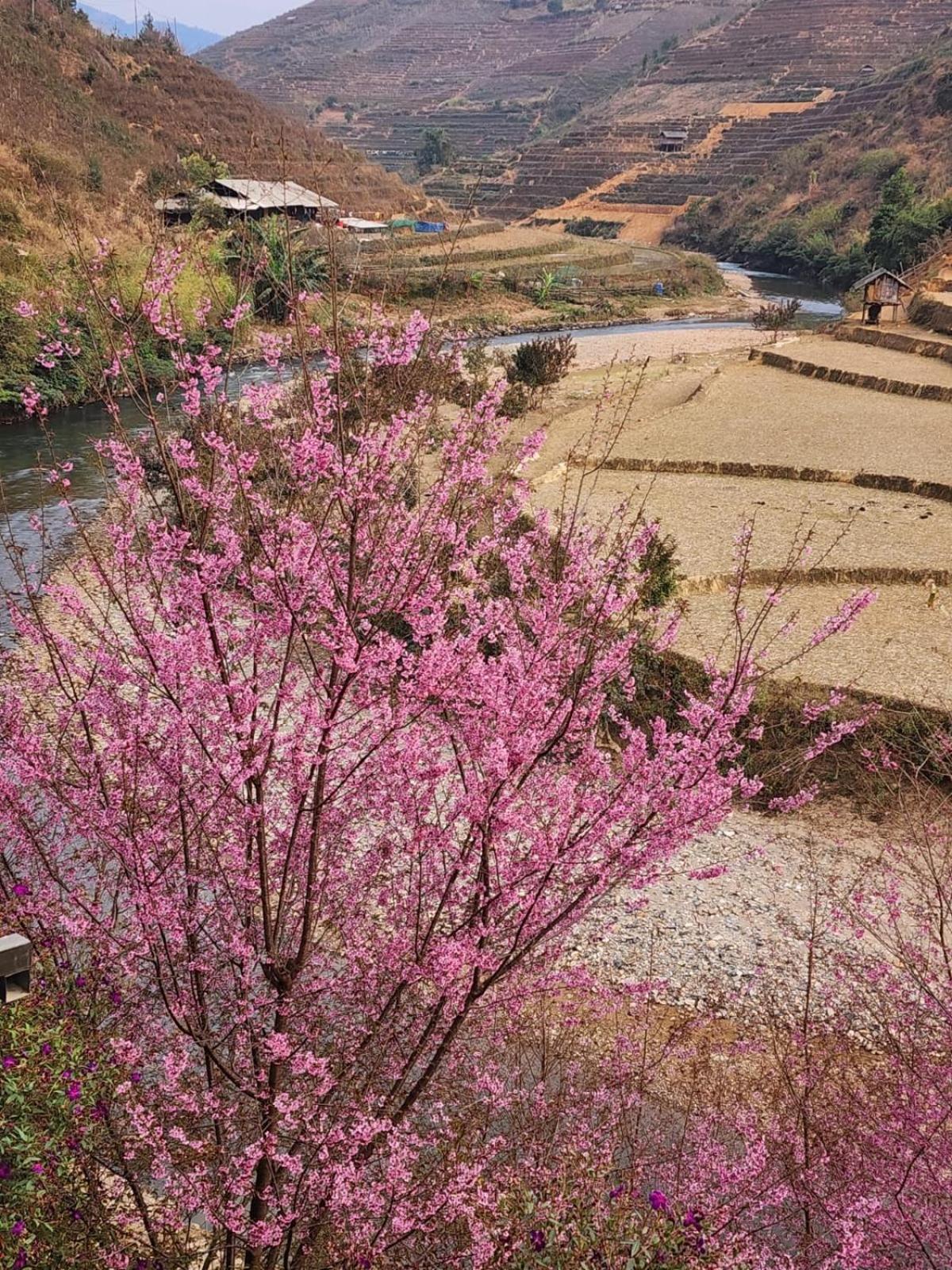Mu Cang Chai Dong Suoi H'Mong Homestay & Bungalow - Trek & Vegetarian Food מראה חיצוני תמונה
